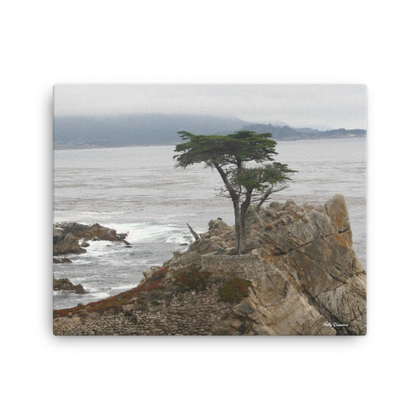 Lone Cypress Pebble Beach - Original Photo on Canvas by Holly Simmons