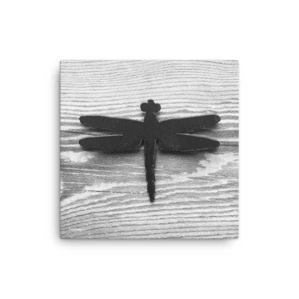 Dragonfly - Original Photo on Canvas by Holly Simmons